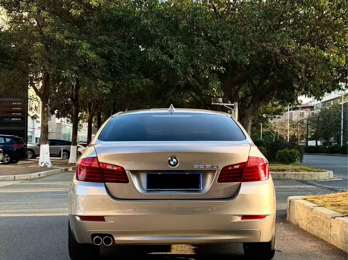 BMW 5 Series 2014 525Li Leading фото 9