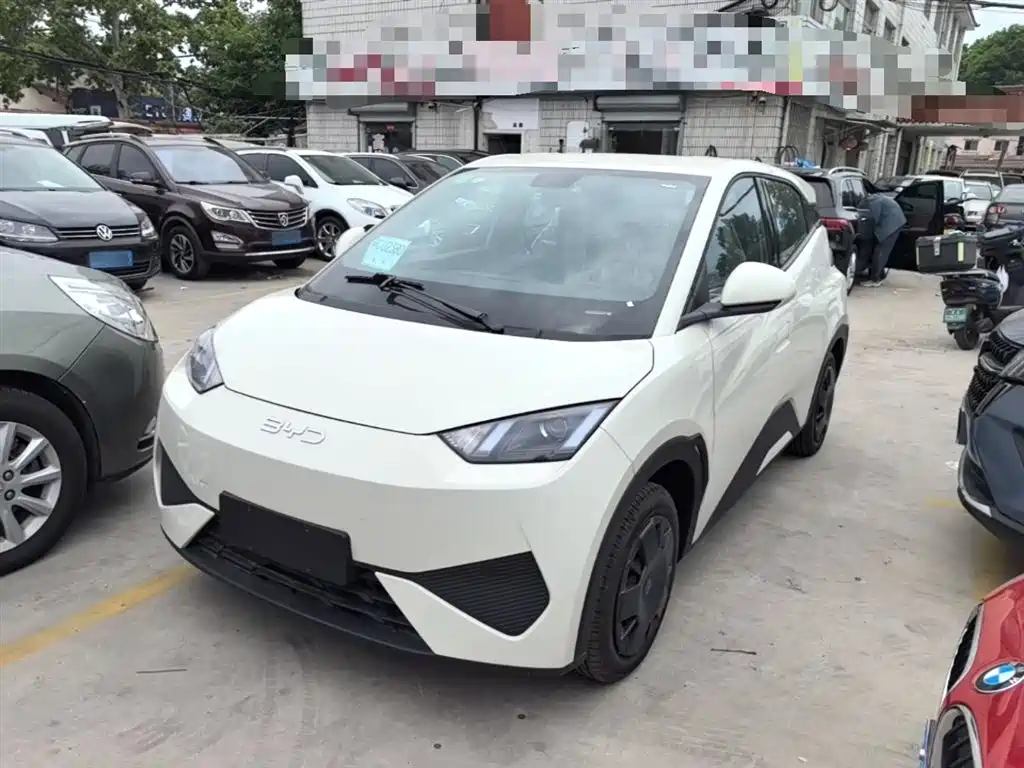 BYD Seagull 2025 Smart Drive Edition 305km Vitality Version