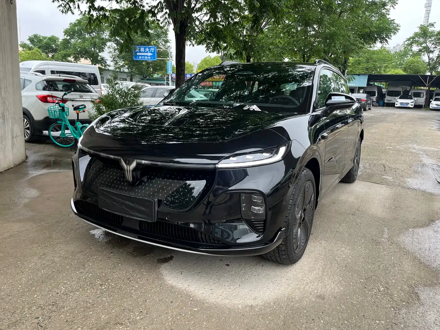 Voyah Auto Voyah Zhiyin 2024 4WD Global Edition