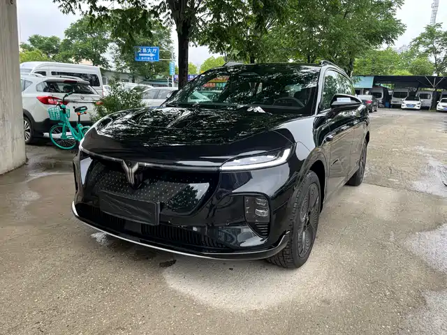 Voyah Auto Voyah Zhiyin 2024 4WD Global Edition
