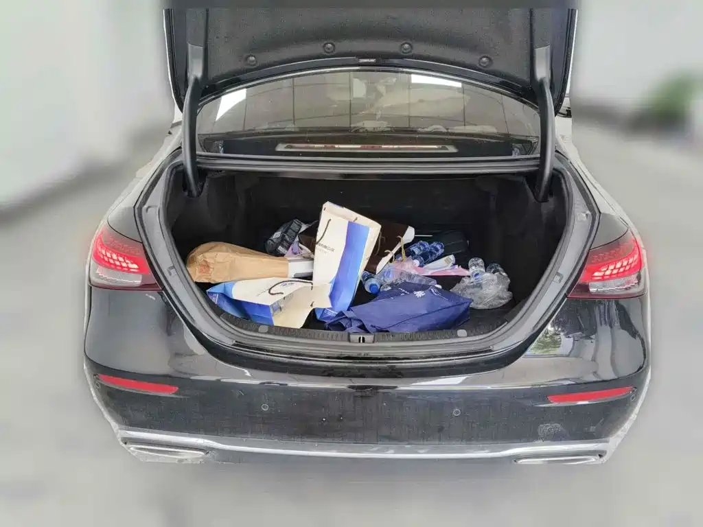  Mercedes-Benz Mercedes-Benz E-Class 2022 Second Facelift E 300 L Luxury 5