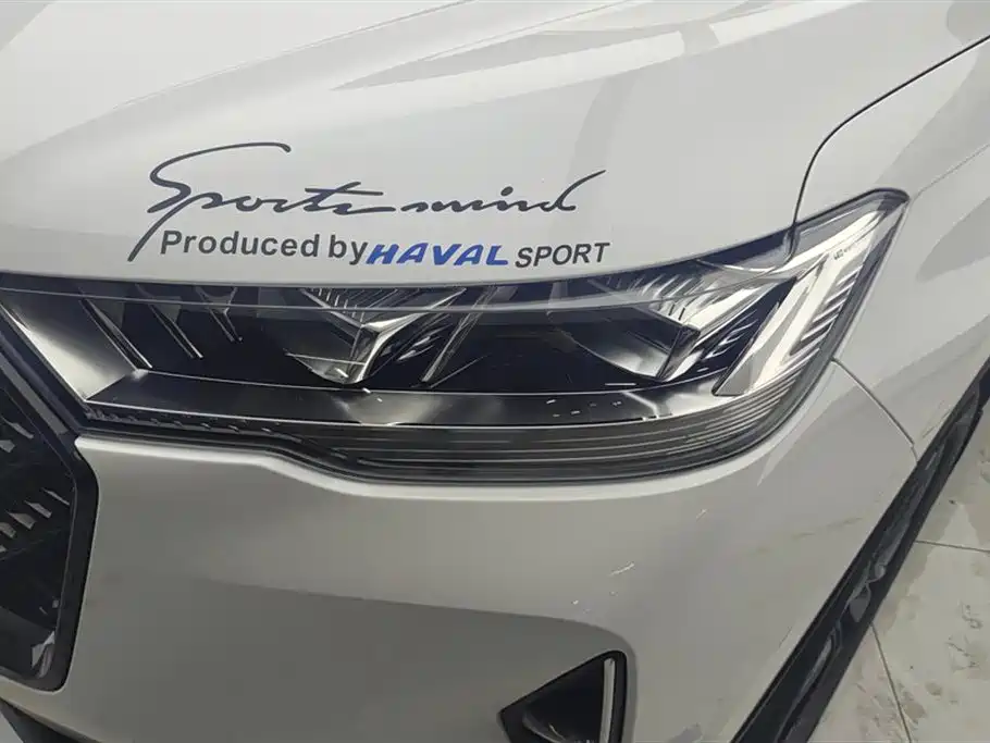Haval H6 2021 3rd Generation 2.0T Auto 2WD Max фото 5