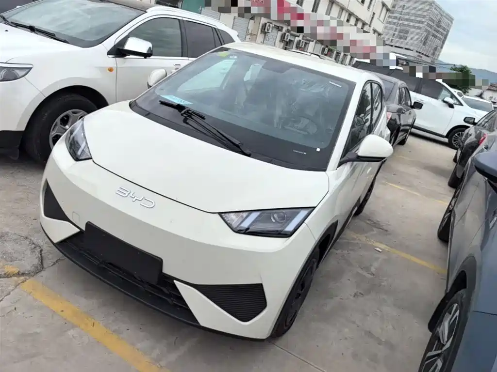 BYD Seagull 2025 Smart Drive Edition 305km Vitality Version