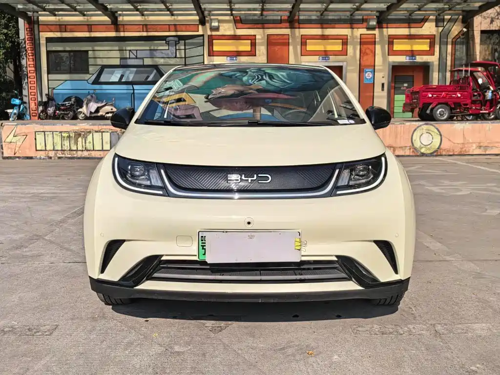 Фото 2 - BYD Dolphin