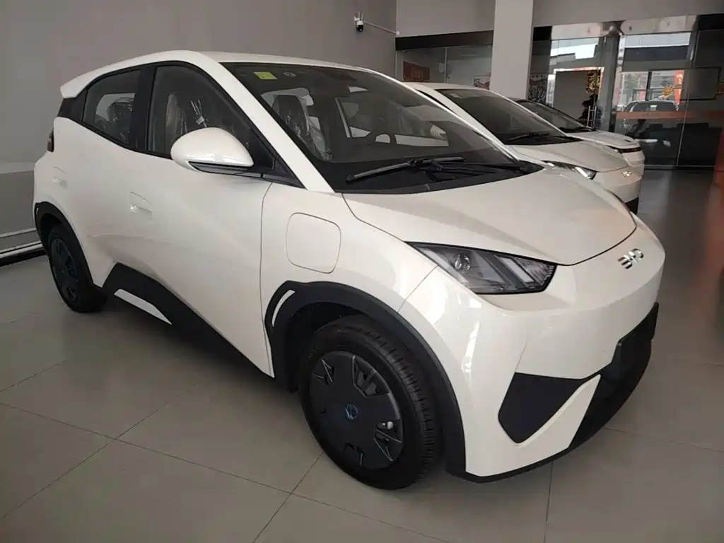 BYD Seagull 2026 2025 Smart Drive Edition 305km Vitality Version