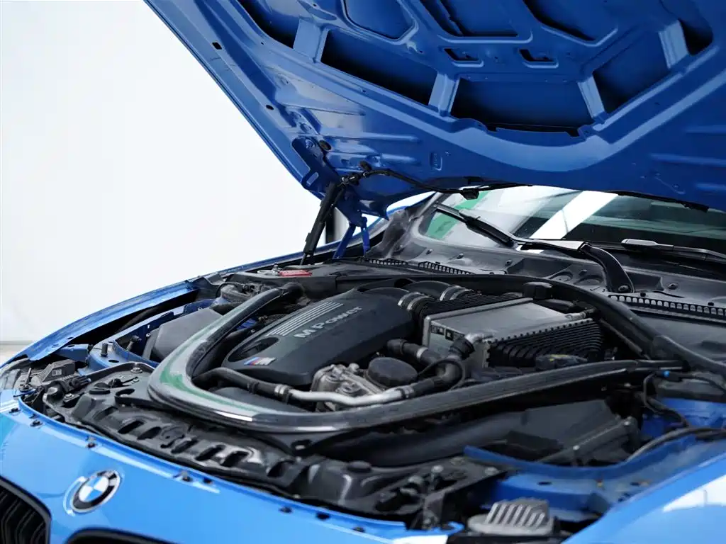 BMW M4 2017 M4 Convertible Fans Limited Edition фото 48