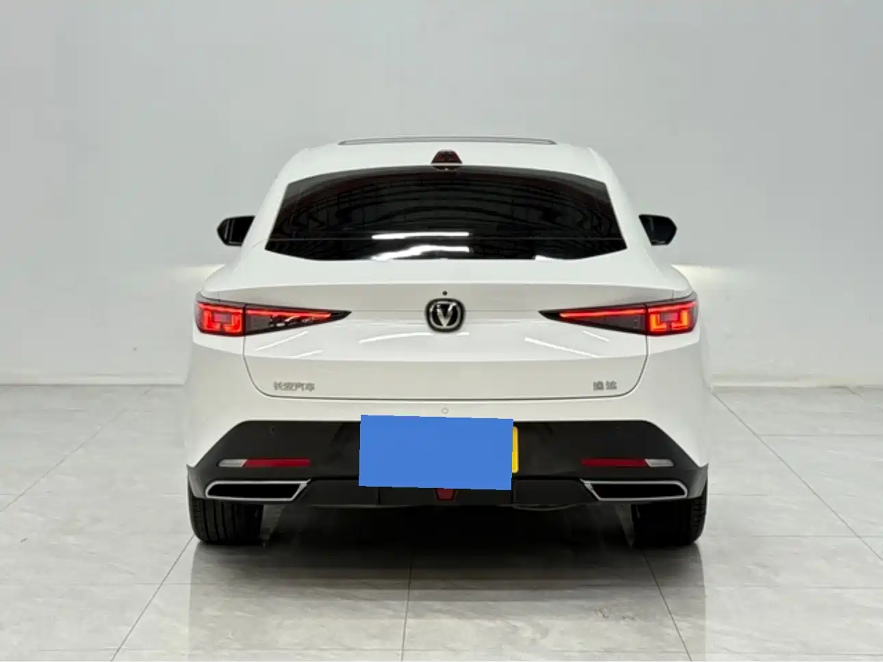 Changan Yida 2023 2023 Blue Whale NE 1.5T GDI DCT Pilot