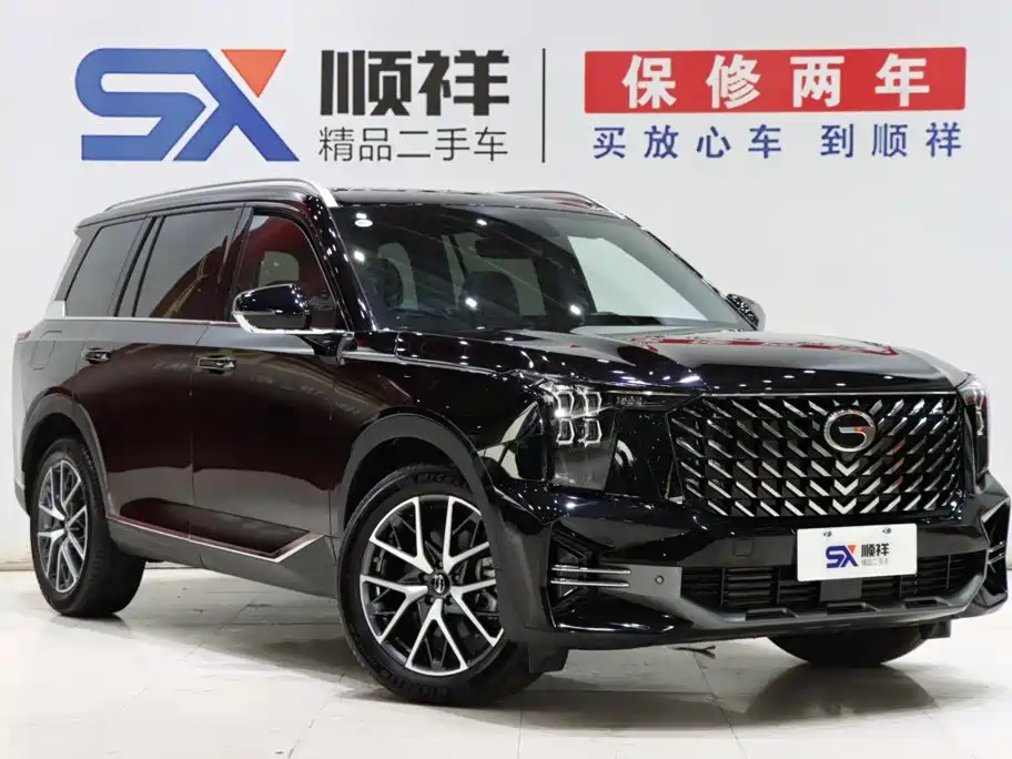 GAC Trumpchi Trumpchi GS8 2025 2025 Pilot Series 2.0TGDI 2WD Luxury Edition 5-seater