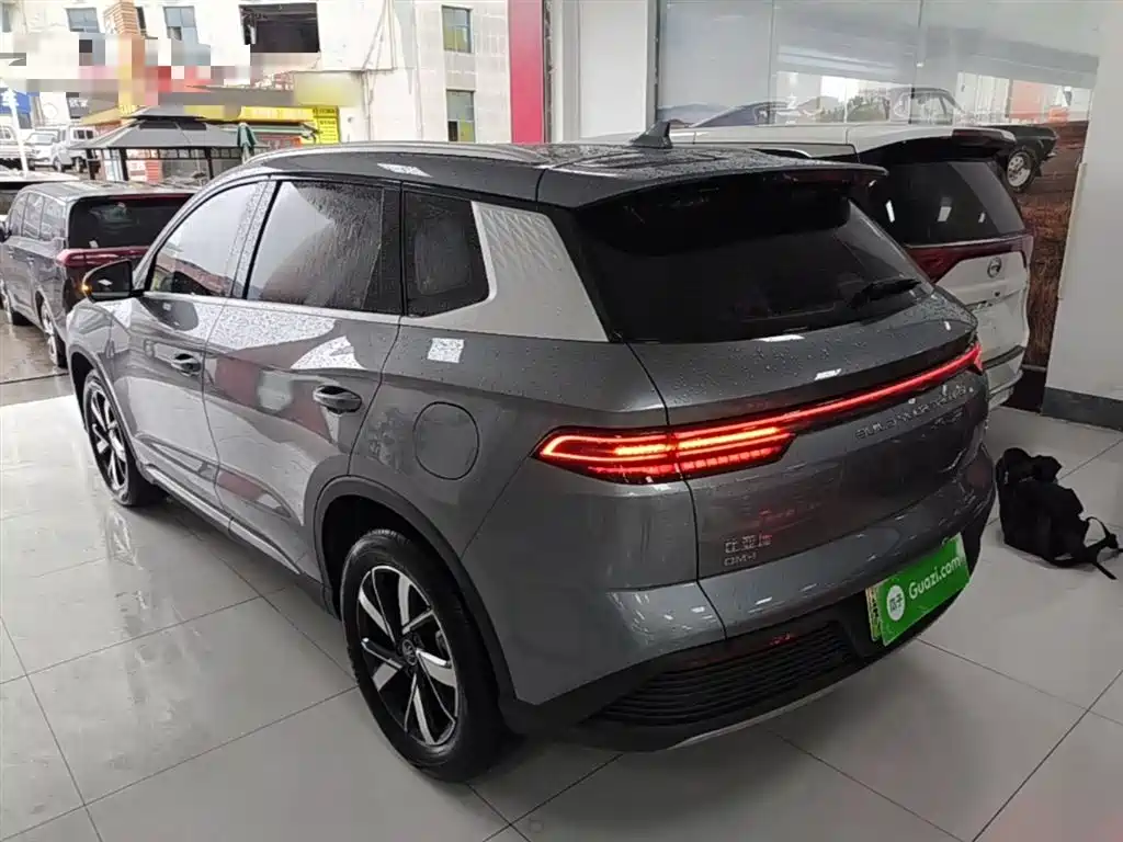 BYD Song Pro New Energy 2024 Glory Edition DM-i 71KM Pilot фото 5