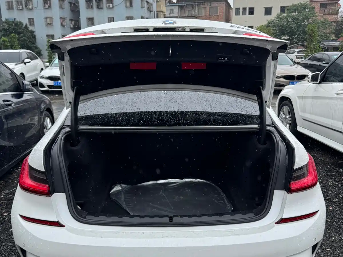 BMW 3 Series 2020 325Li M Sport Black Night Package фото 22