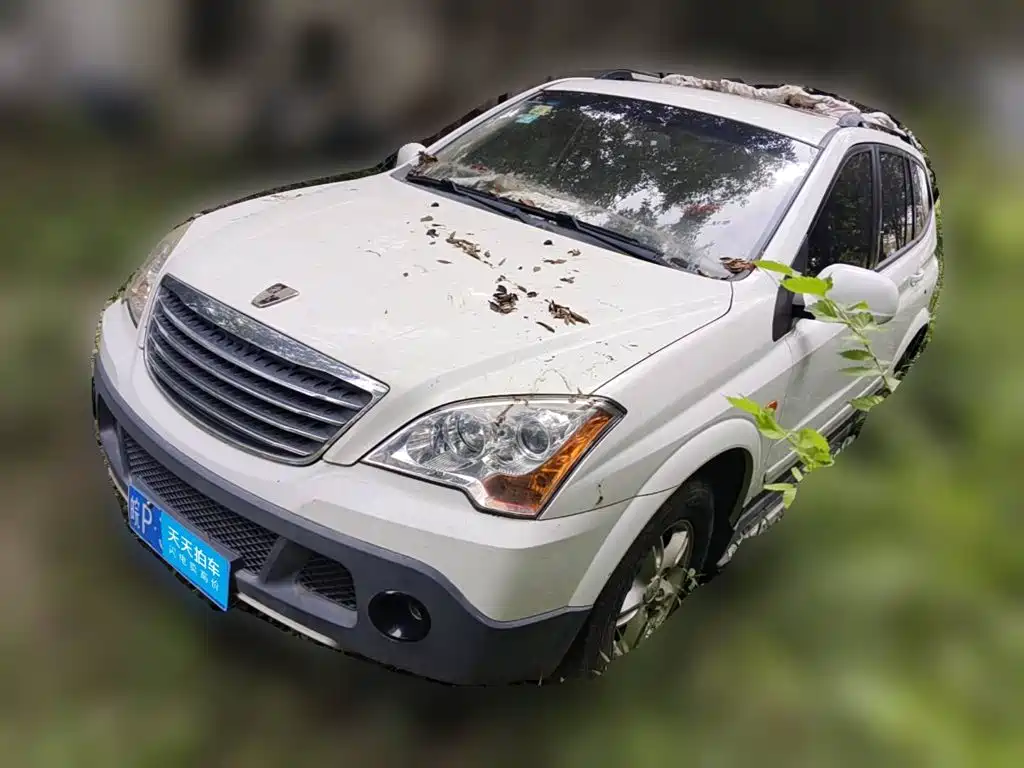 2013 Roewe W5