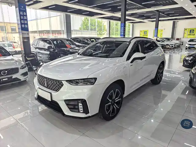  WEY Wey VV7 New Energy 2020 PHEV 2.0T Flagship Model