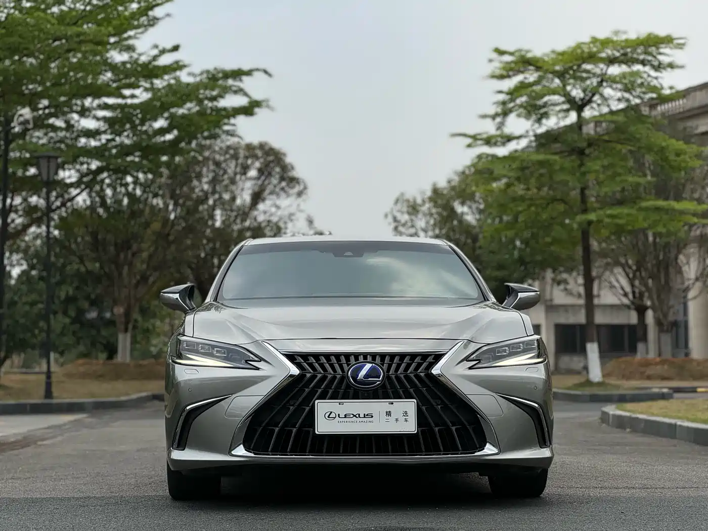 Lexus ES 2021 300h Executive Edition фото 2