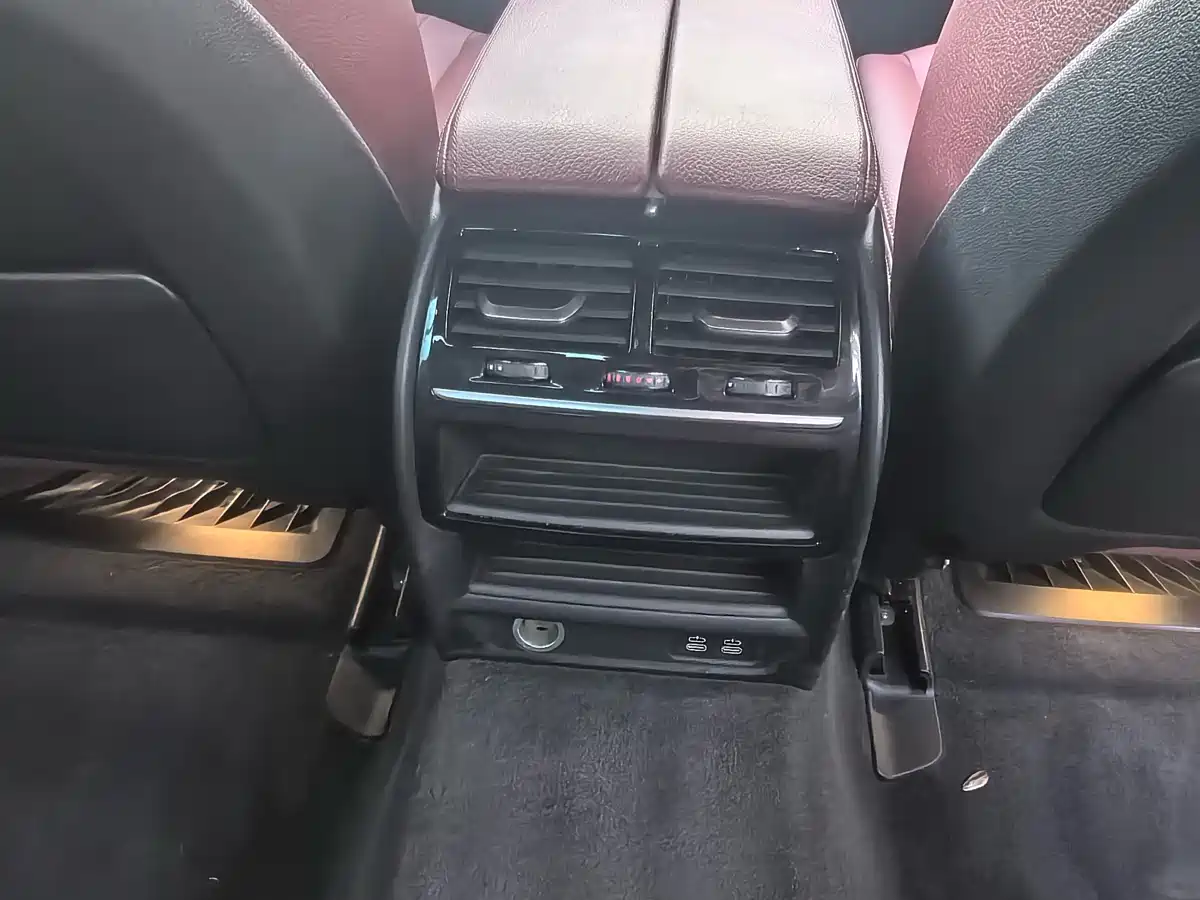 BMW 5 Series 2020 530Li Leading M Sport Package фото 14