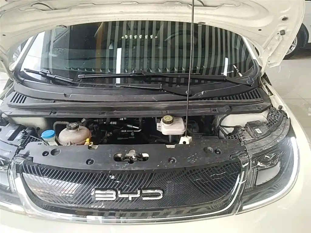 BYD Dolphin 2023 420km Fashion Edition фото 20