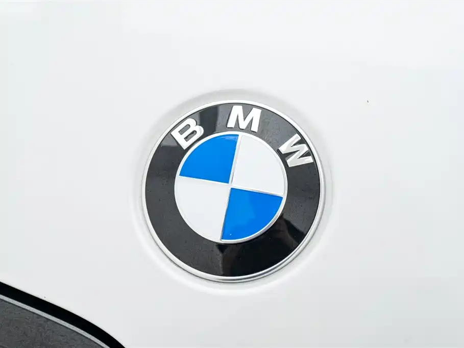 BMW 3 Series 2024 325Li M Sport Shadowline Package фото 9