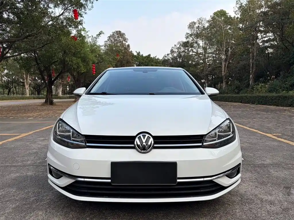 Volkswagen Golf 2019 280TSI DSG Comfort China VI фото 2