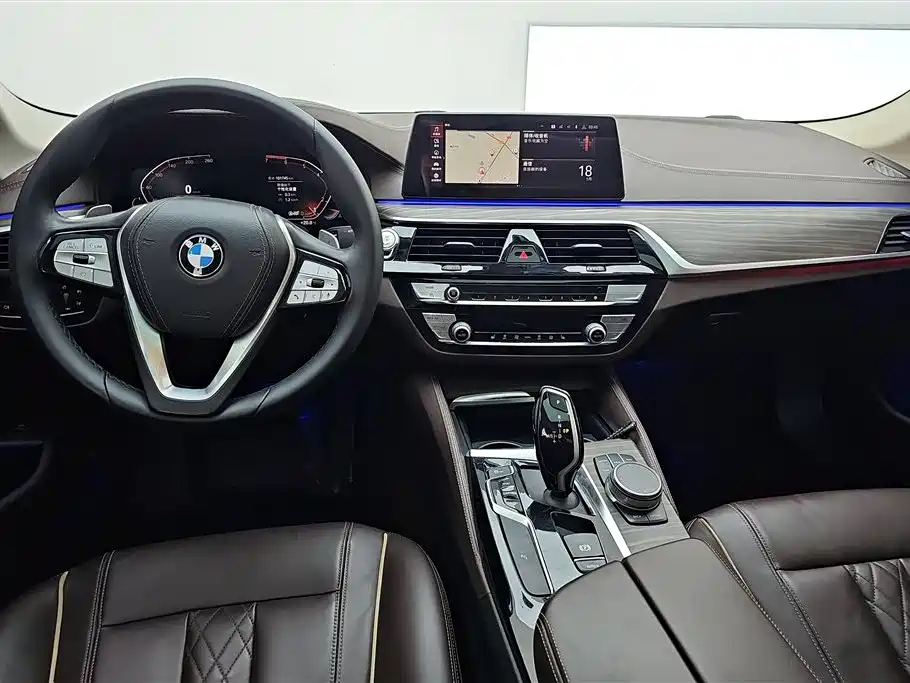 BMW 5 Series 2021 530Li Leading Luxury Package фото 12