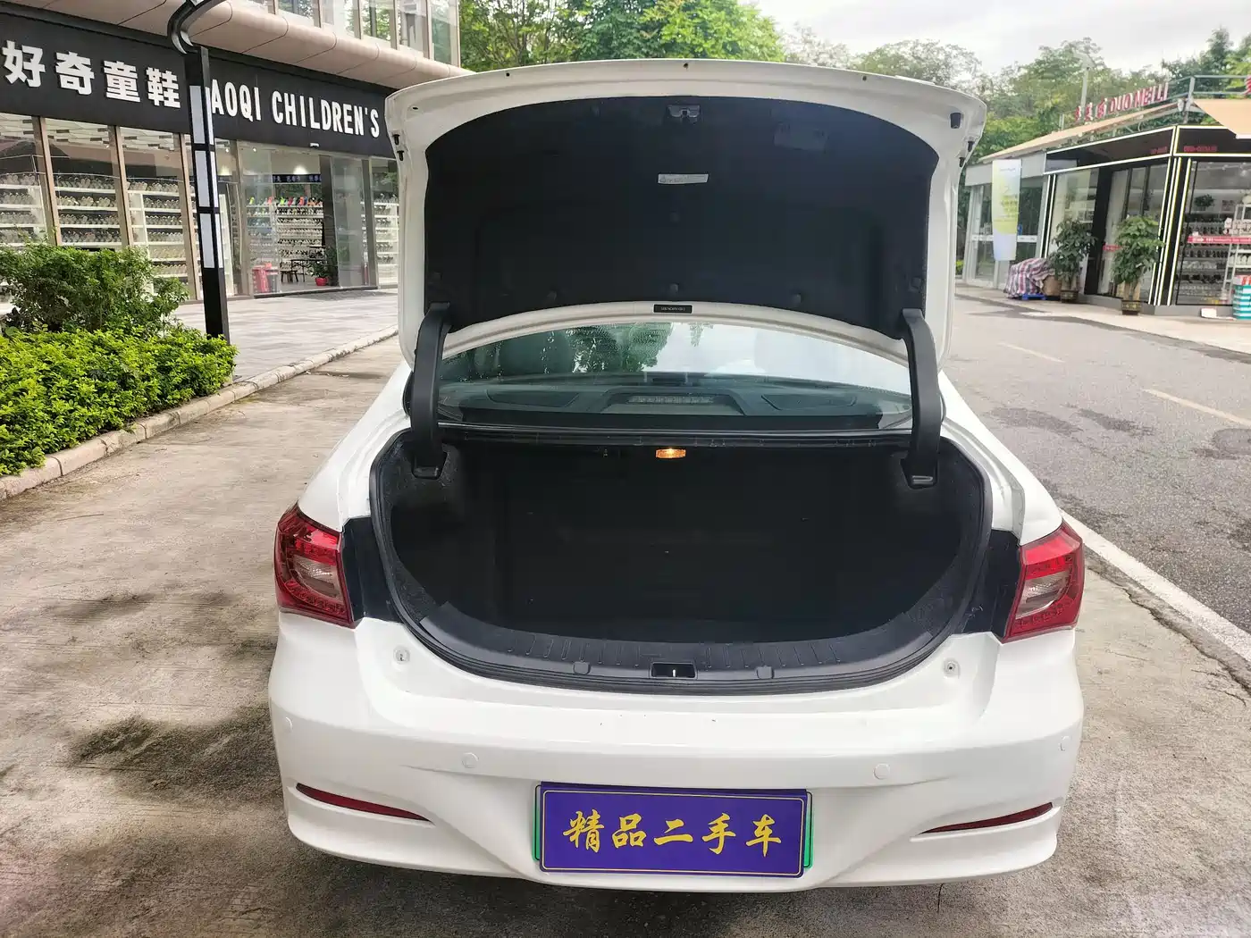 BYD Qin New Energy 2015 1.5T Double Champion Flagship Plus фото 17