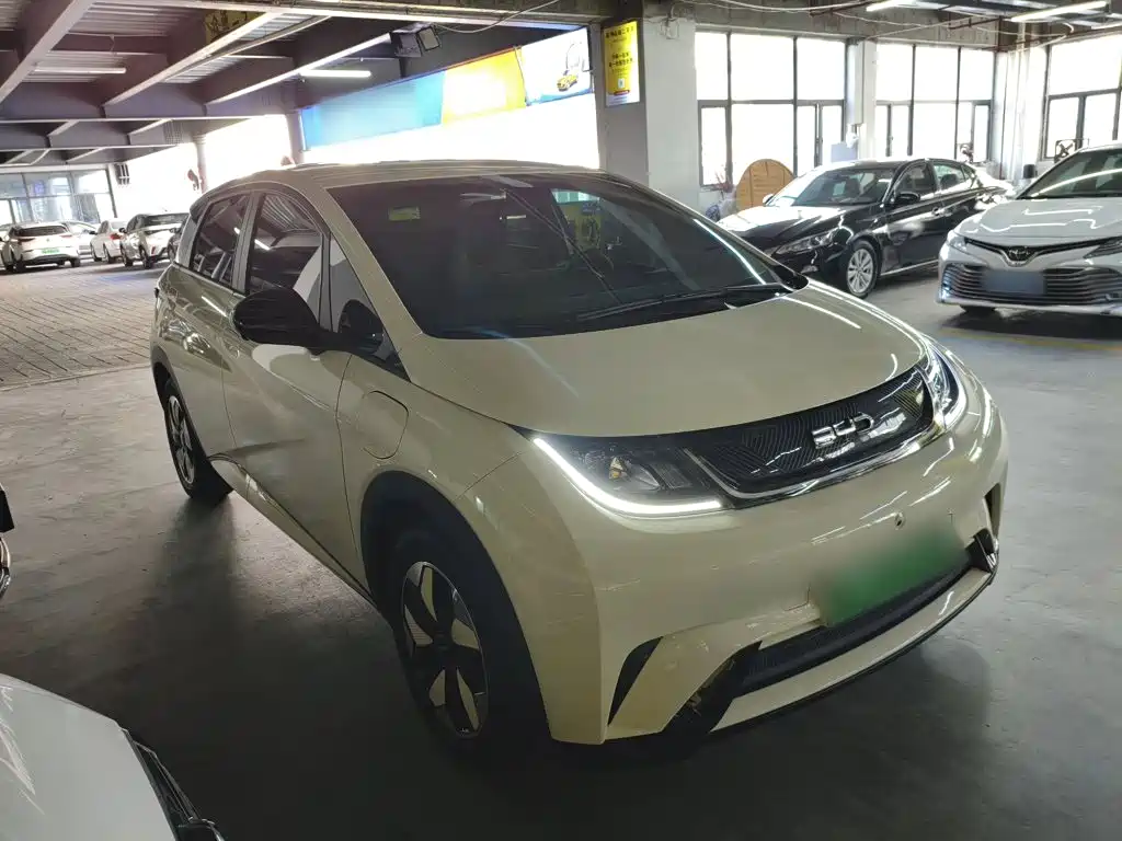 Фото 4 - BYD Dolphin