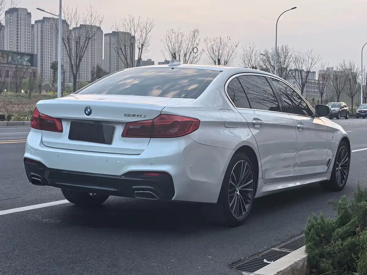 BMW 5 Series 2020 530Li Leading M Sport Package фото 21