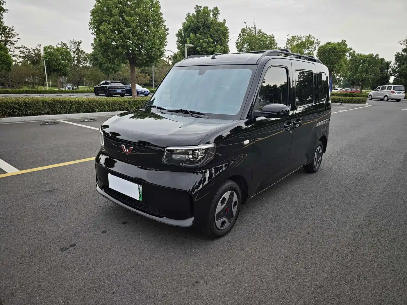 Wuling Motors Wuling Zhiguang NEV 2025 Model 305km Base Version