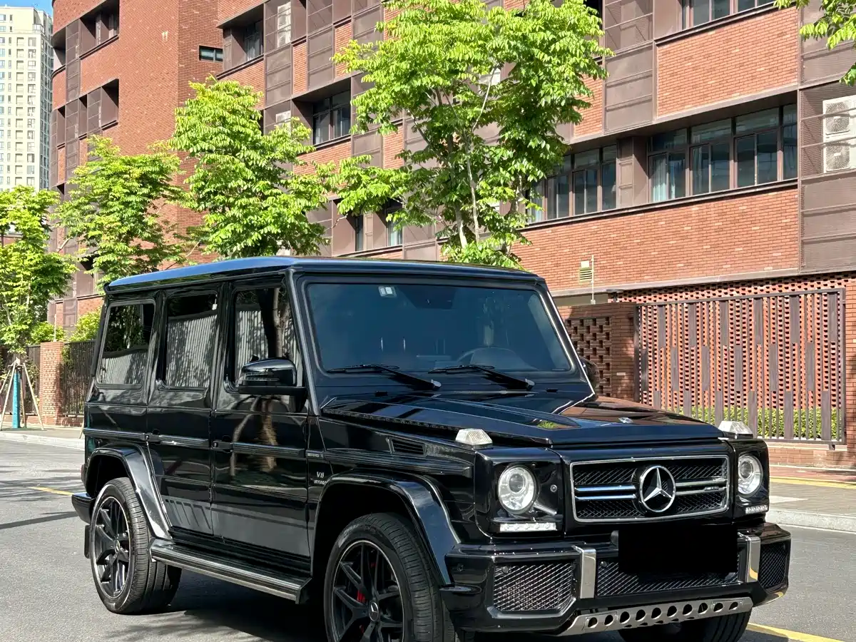 Mercedes-Benz G-Class AMG 2016 AMG G 63 фото 5