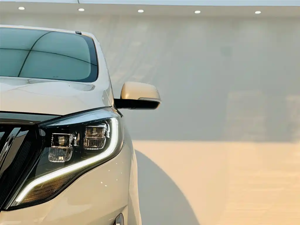 GAC Trumpchi Trumpchi M8 2021 Leading Show Series 390T Premium Edition фото 10