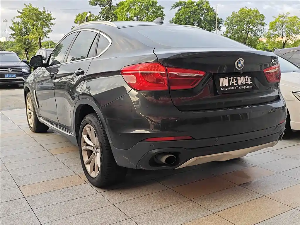 صورة 6 - BMW X6