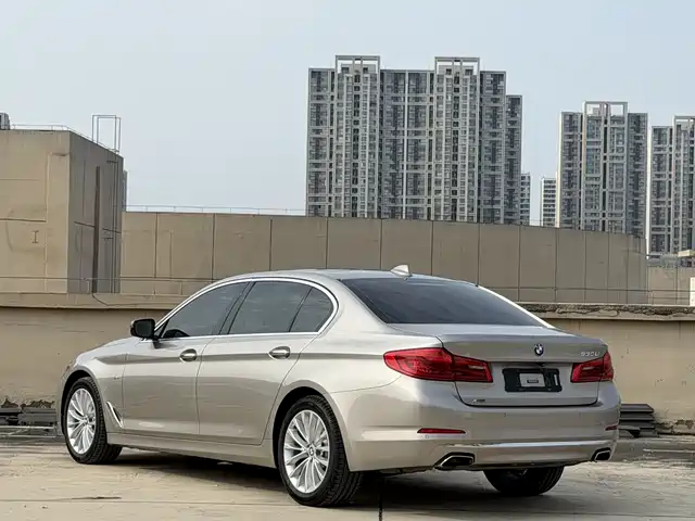 BMW 5 Series 2018 530Li xDrive Luxury Package — фото 4