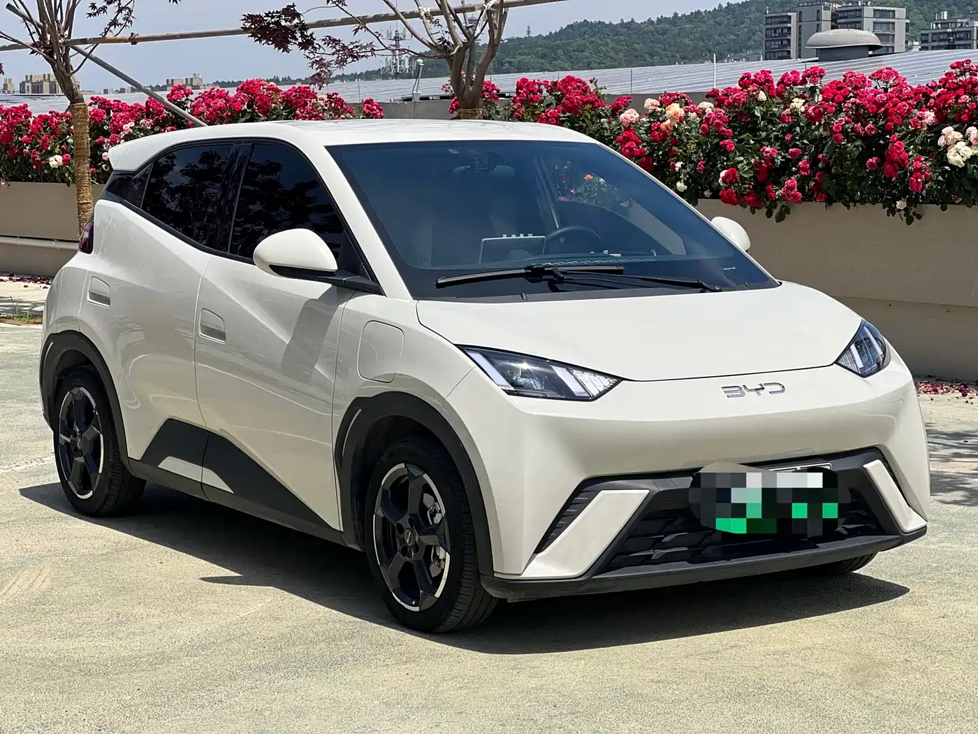 BYD Seagull 2024 Glory Edition 305km Freedom Edition фото 3