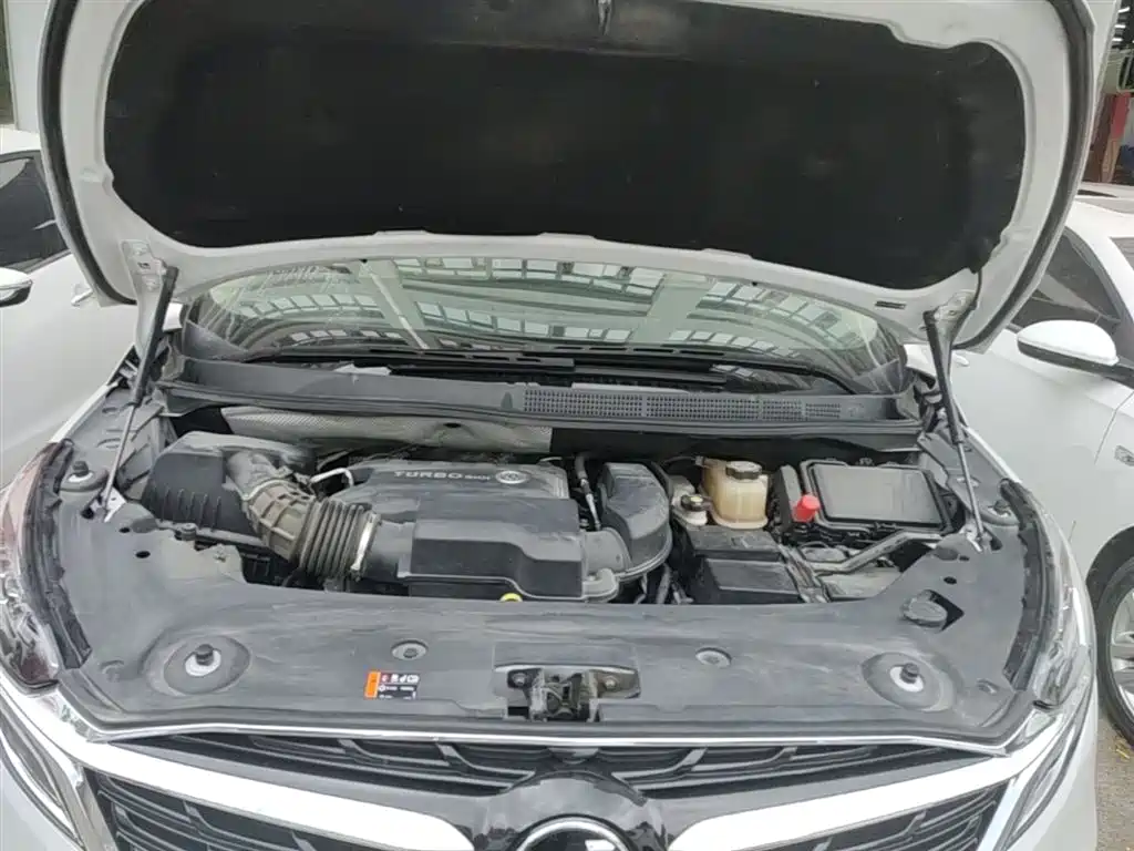 Buick GL8 2022 ES Landmark 653T Premium фото 20