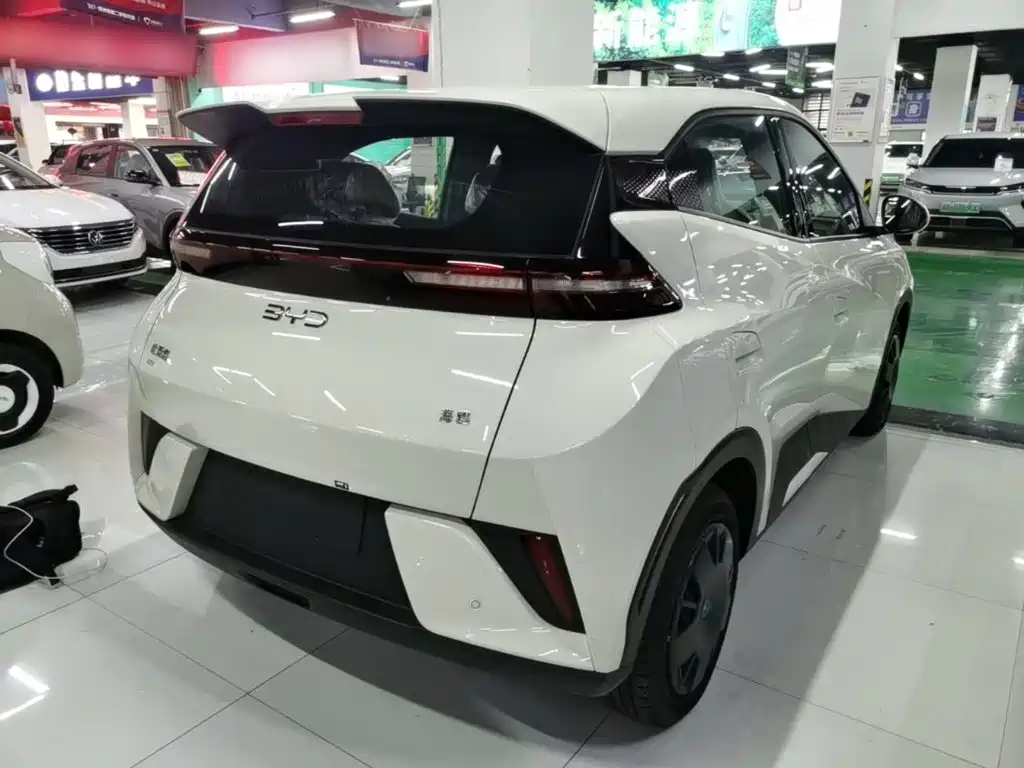BYD Seagull 2026 2025 Smart Drive Edition 305km Vitality Version