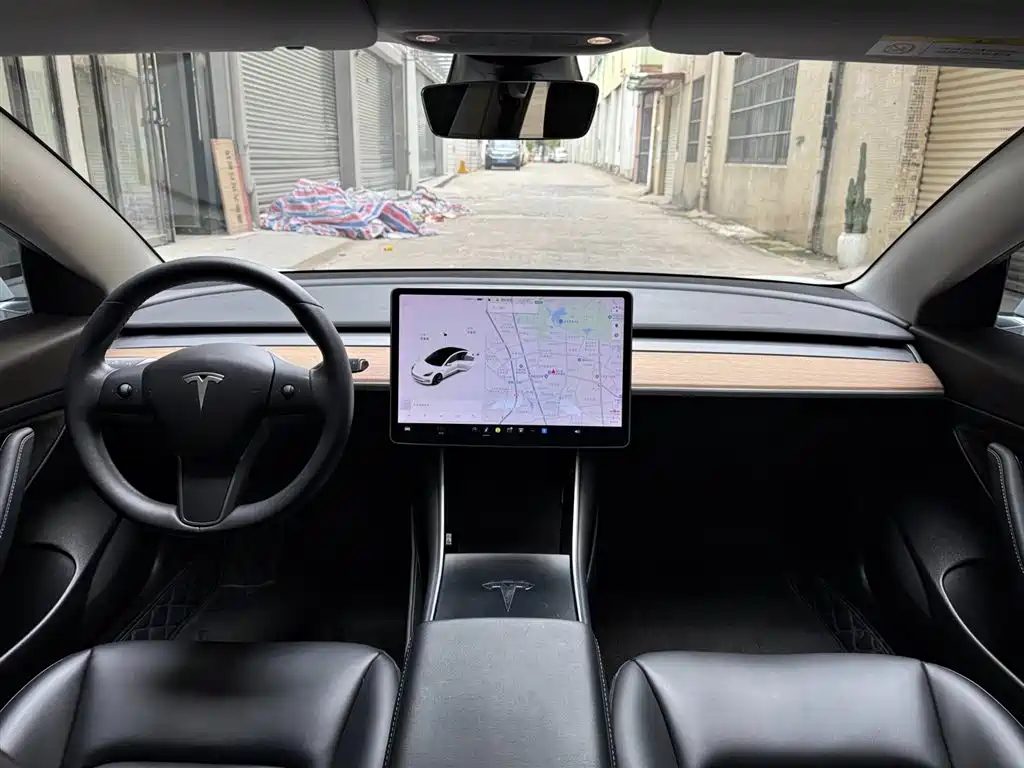 Tesla Model 3 2019 Standard Range Rear-Wheel Drive Upgrade фото 10