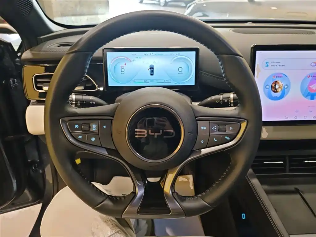 BYD Seal 06 New Energy 2024 DM-i 80KM Prestige фото 11