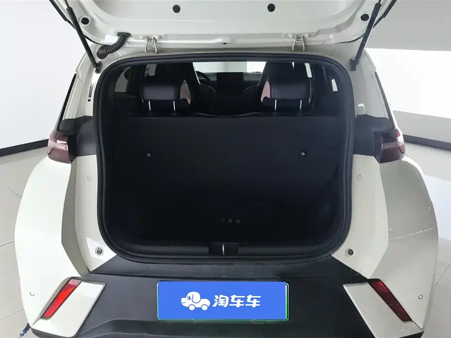 BYD Seagull 2023 Freedom Edition фото 4