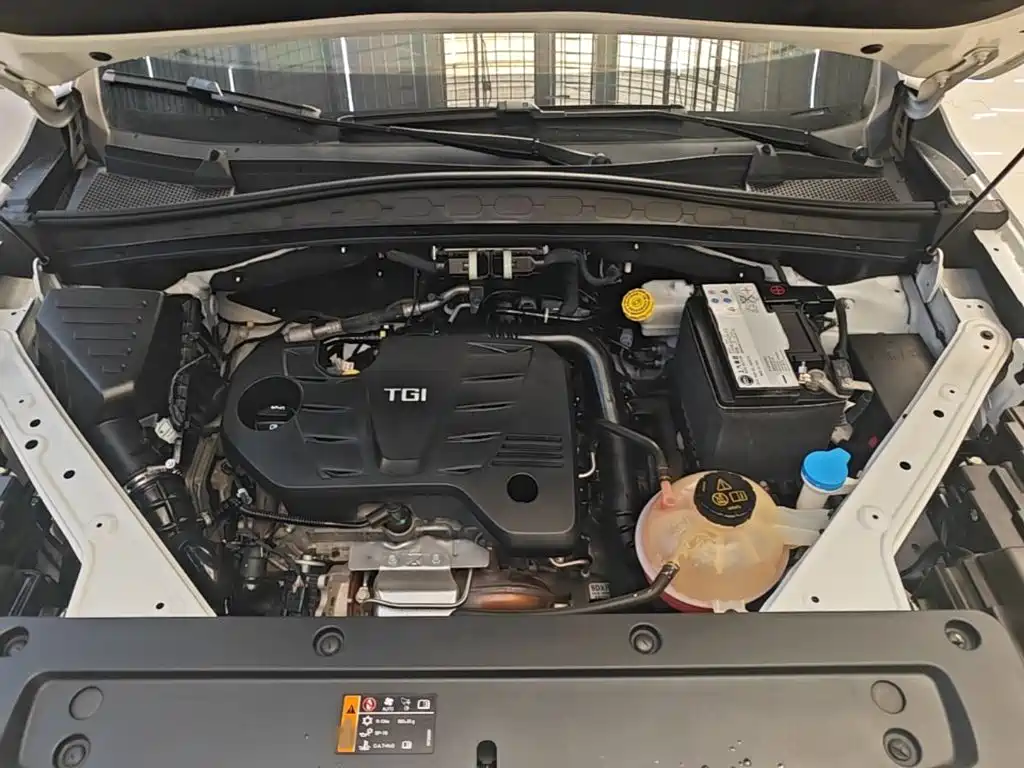 Roewe RX5 MAX 2021 2019 300TGI Automatic 4G Connected Luxury Edition