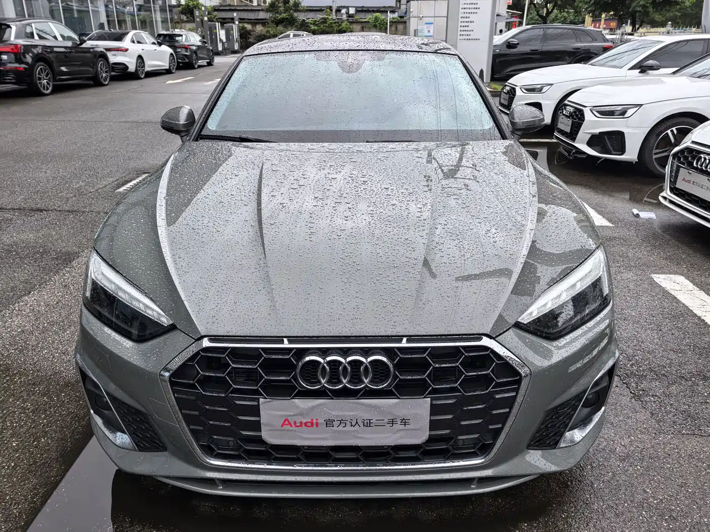 Audi A5 (Import) 2023 2022 Sportback 40 TFSI Fashion Dynamic