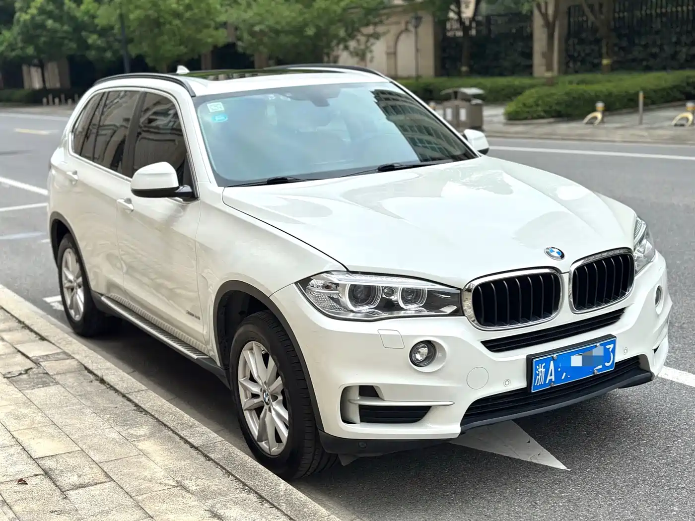 BMW X5 (Import) 2014 xDrive35i Leading фото 4