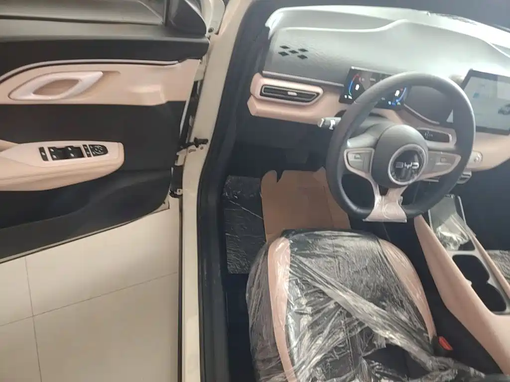 BYD Seagull 2026 2025 Smart Drive Edition 305km Vitality Version