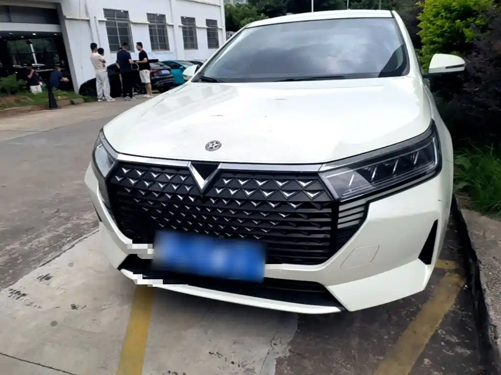 2023 Venucia D60