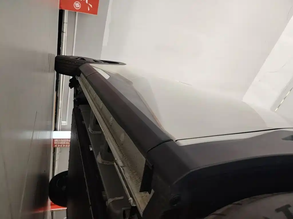 BYD Seagull 2026 2025 Smart Drive Edition 305km Vitality Version