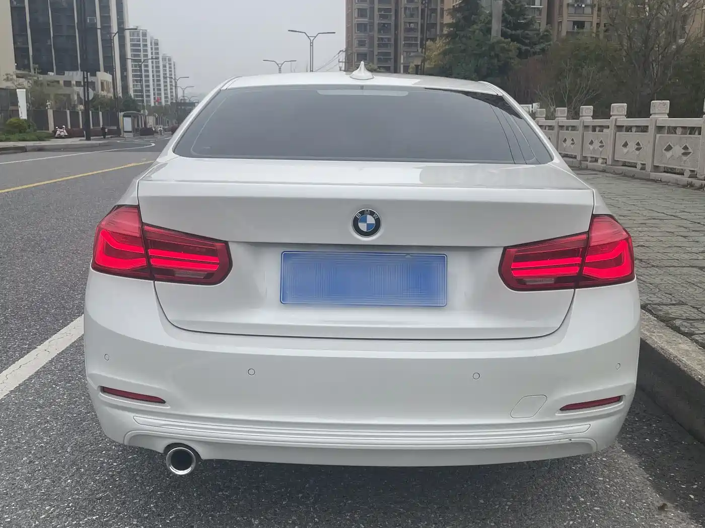 BMW 3 Series 2018 318Li фото 4