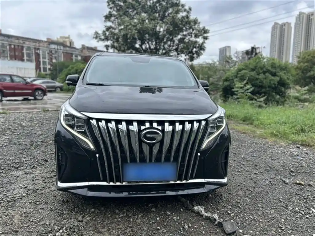 GAC Trumpchi Trumpchi M8 2021 Leading Show Series 390T Prestige Edition фото 8