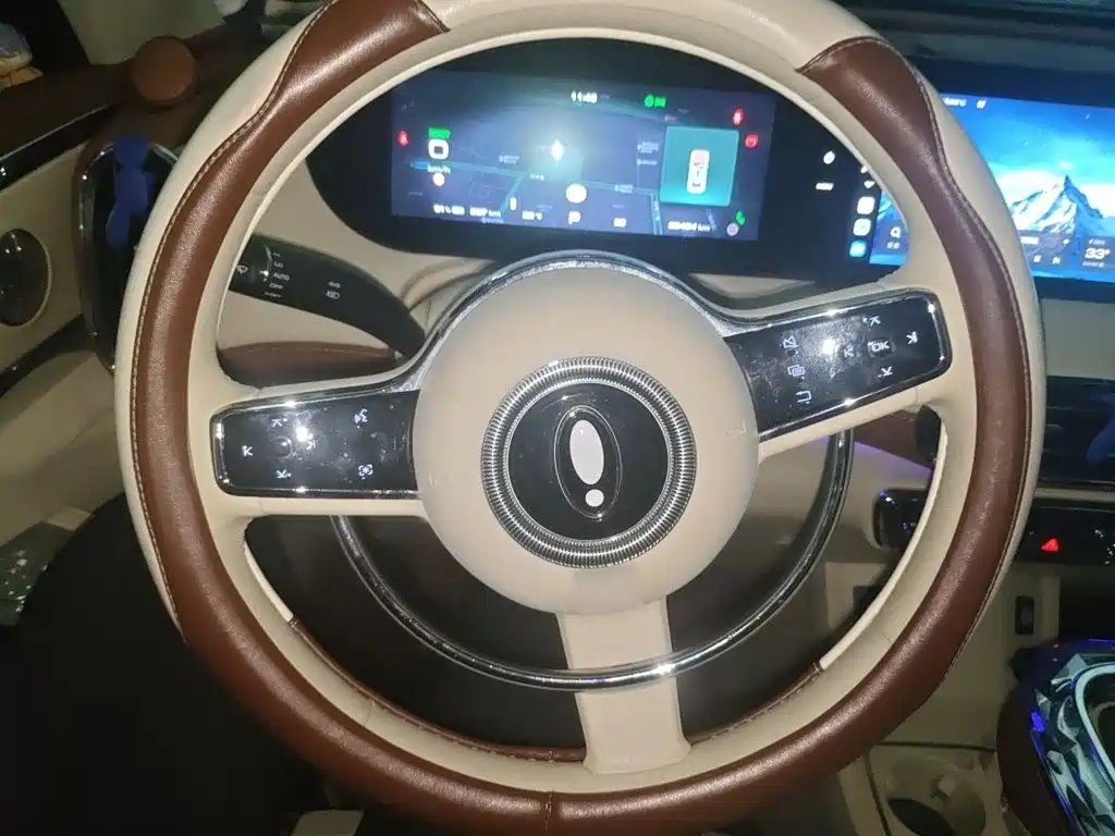 Ora Ballet Cat 2024 2023 401km Premium Model