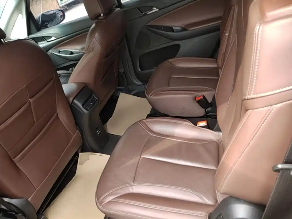 Фото 17 - Buick GL6
