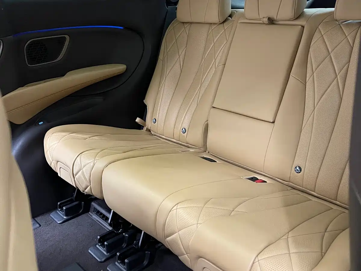Denza D9 2024 DM-i 980 AWD Prestige фото 8