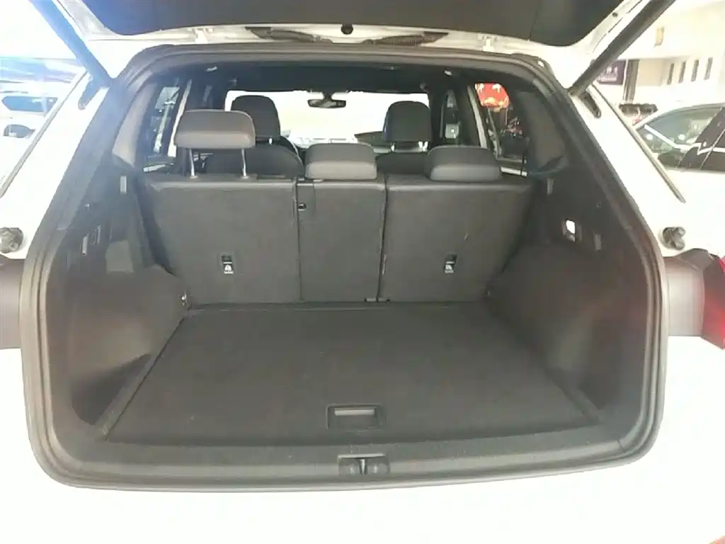 VOLKSWAGEN TANYUE