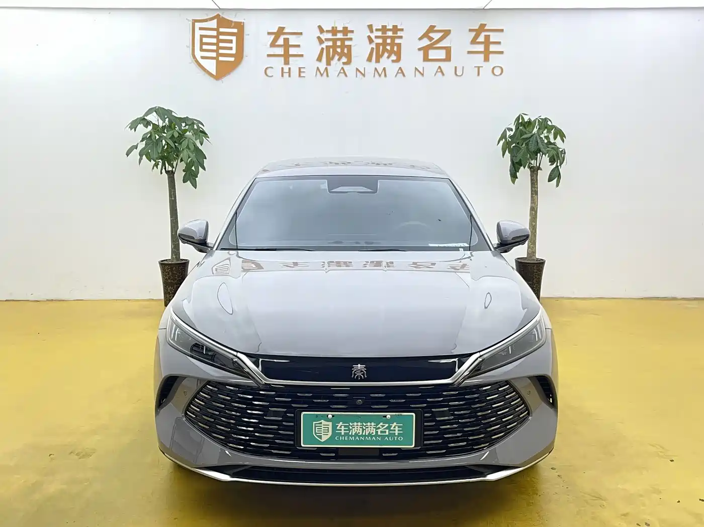 BYD Qin L 2026 2026 Model DM-i Smart Drive Edition 128KM Pioneer