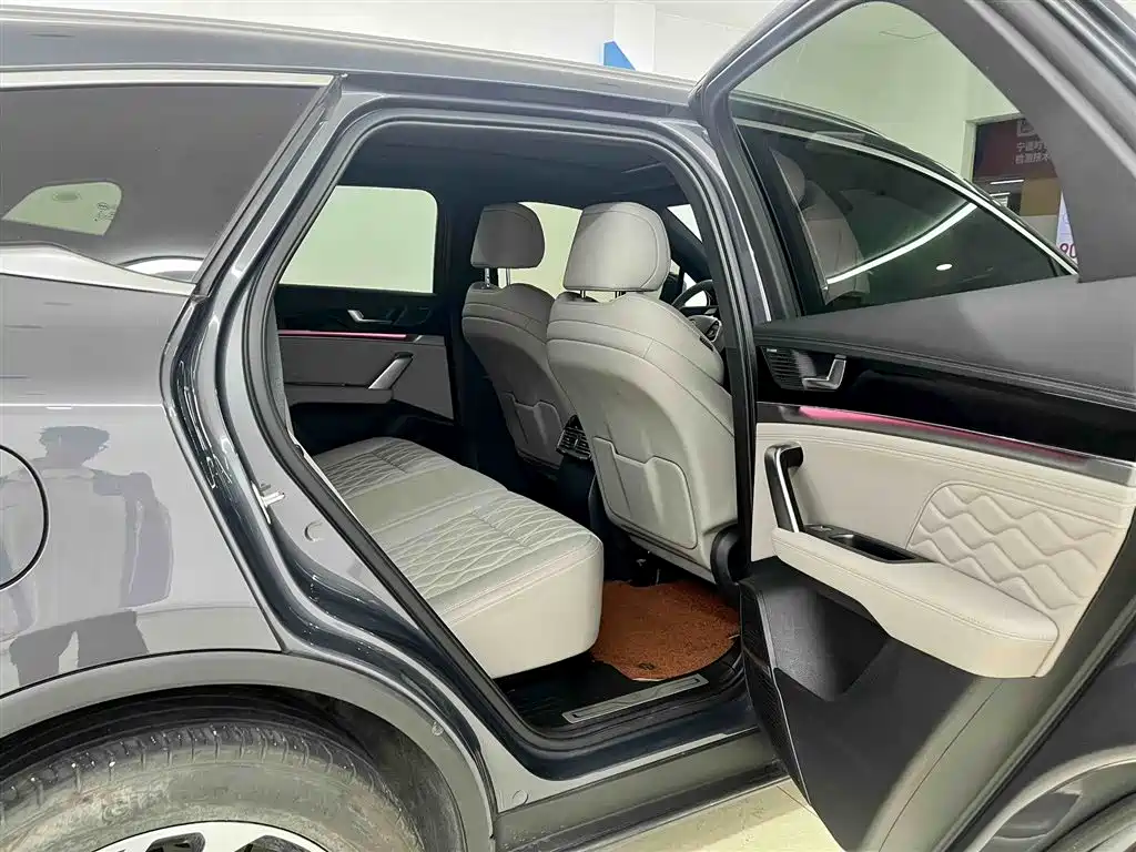 BYD Tang New Energy 2025 DM-i 115KM Prestige Type фото 15